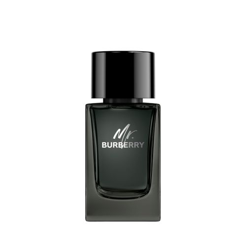 PERFUME BURBERRY HOMBRE MR BURBERRY EDP