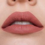 LABIAL-PURE-COLOR-LIPSTICK-MATTE-ESTEE-LAUDER-816-SUIT-UP