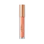 BRILLO-ICONIC-LONDON-LIP-PLUMPING-GLOSS-TICKLE-YOUR-FANCY