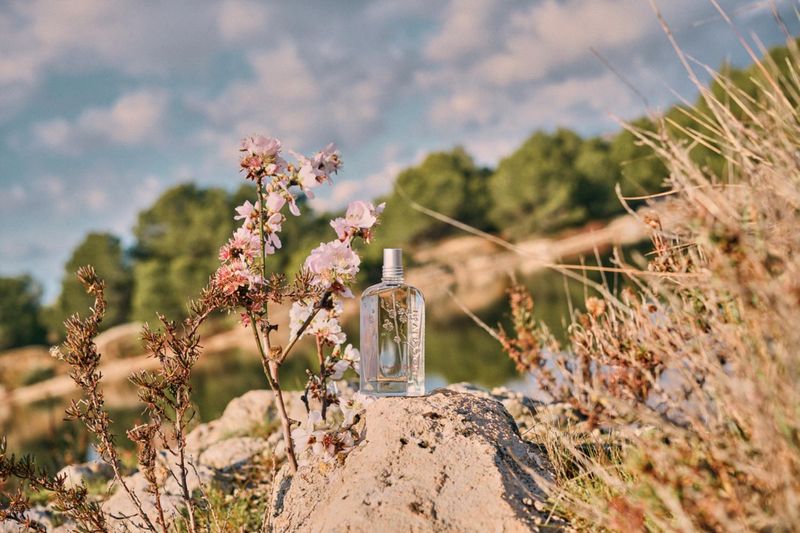 CHERRY-BLOSSOM-EAU-DE-TOILETTE