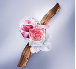 PERFUME-LANCOME-LA-VIE-EST-BELLE-ROSE-EXTRAORDINAIRE-EDP-100ml