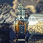 PERFUME-XERJOFF-XJK-AURUM-50ML-PARFUM
