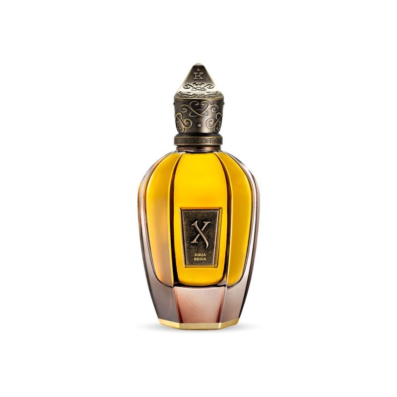 PERFUME-XERJOFF-XJK-AQUA-REGIA-100ML-PARFUM-